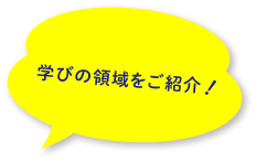 学びの領域をご紹介！